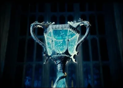 Quelqu'un a mis le nom d'Harry dans la coupe de feu...