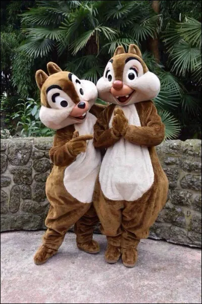 Comment s'appellent ces deux personnages créés en 1943 par les Studios Disney ?