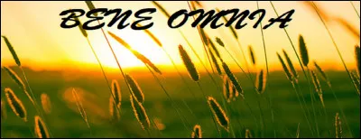 Quel degré est exprimé par l'adjectif "gonflant" dans la phrase : « Ce sujet est aussi gonflant que le précédent » ?