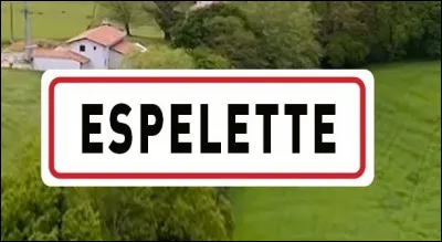 Pourquoi la ville d'Espelette est-elle célèbre ?