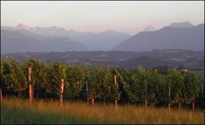 Qu'a-t-on découvert à Lacq à la fin des années 1940 ?