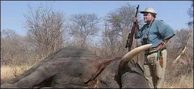 Quel est le nom de l'interprète ?