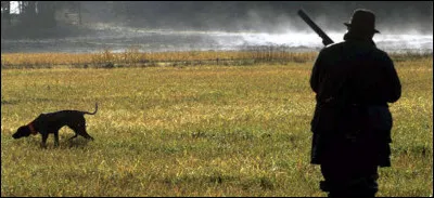 Quel est le nom de l'interprète ?