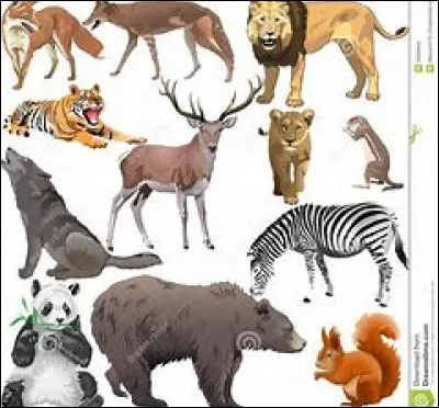 Quel est ton animal préféré ?