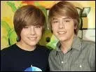 En quelle anne sont ns Dylan et Cole Sprouse ?