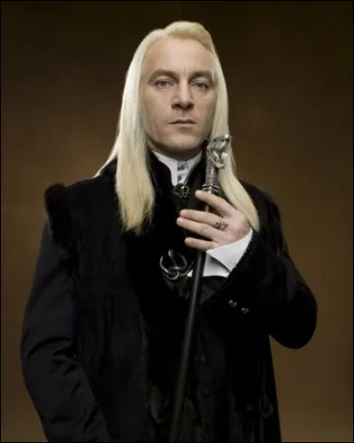 Quelle chaussette Harry Potter glisse-t-il dans le journal de Tom Jedusor avant de le rendre à Lucius Malefoy ?