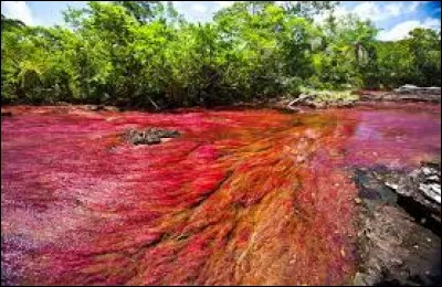 La Colombie est divisée en régions naturelles, qui sont :