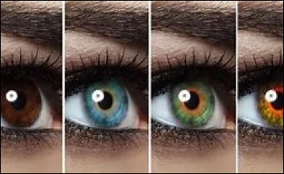 Quel �il pr&eacute;f&egrave;res-tu ?