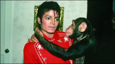 Hormis les enfants, quelle autre chose Michael adorait-il ?