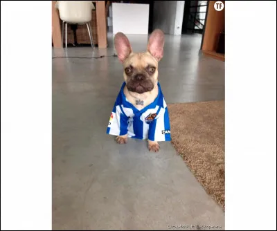 Comment s'appelle leur chien ?