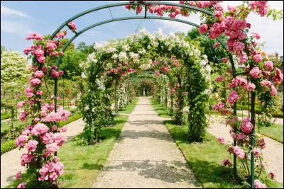 Hormis un végétal, que peut être une rose ?