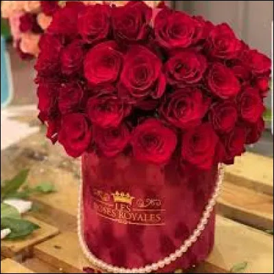 Film de Woody Allen, de 1985 !