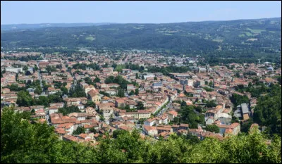 Ville de 10 000 habitants du d&eacute;partement du Tarn, situ&eacute;e le long du Thor&eacute;, au pied de la montagne Noire :