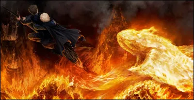 Crabbe est tué par son propre sortilège.