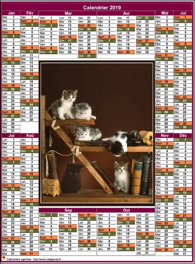 Disparu de la nature, c'est le...