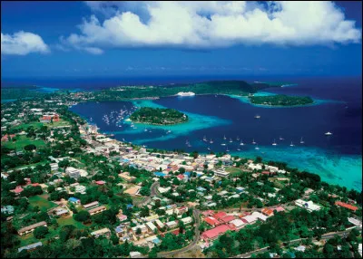 La monnaie officielle de cet état est :