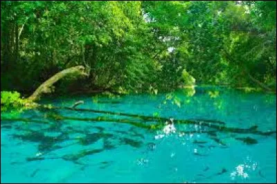 L'île (ou l'archipel) la(le) plus proche des Vanuatu est :