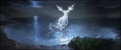 Ton patronus préféré est...