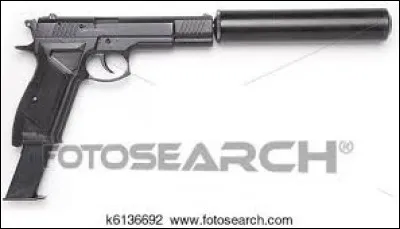 Comment se nomme ce film ?