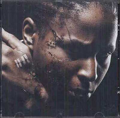 Quel est le nom de cet album de Casey ?