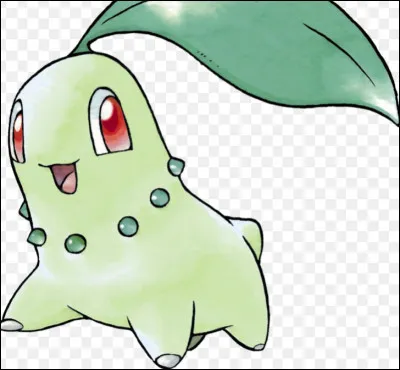 Quel est ce Pokémon ?
