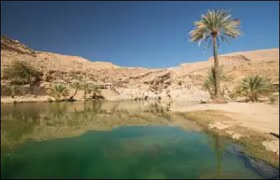 Sur quelle p&eacute;ninsule se situe le sultanat d'Oman ?