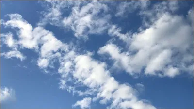 "Y a-t-il un pilote dans l'avion" est joué par Ben Stiller.