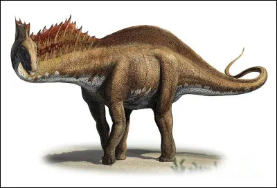 Quelle taille peut atteindre un Amargasaurus, dinosaure sauropode diplodocoïde du Crétacé inférieur ?