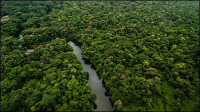 La forêt amazonienne traverse neuf pays, mais lequel ne traverse-t-elle pas ?