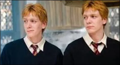 Comment les jumeaux Weasley arrivent-ils à financer leur projet de farces et attrapes ?