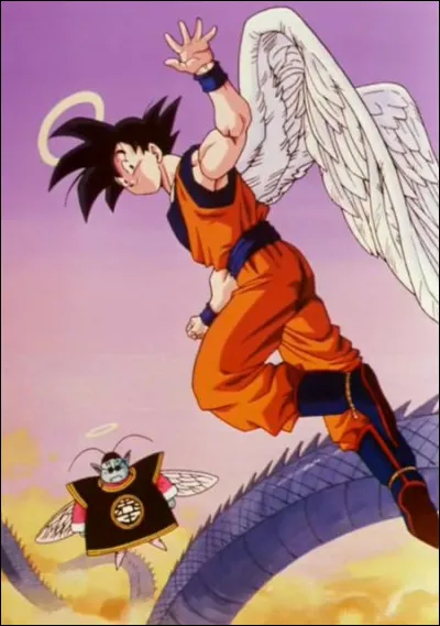 À quel âge est mort Son Goku ?