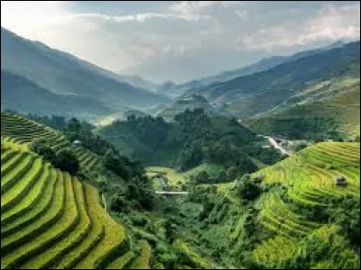 La monnaie officielle du Laos est :