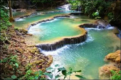 La Laos possède un climat :