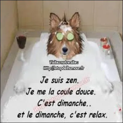 Tu vas en vacances pour :