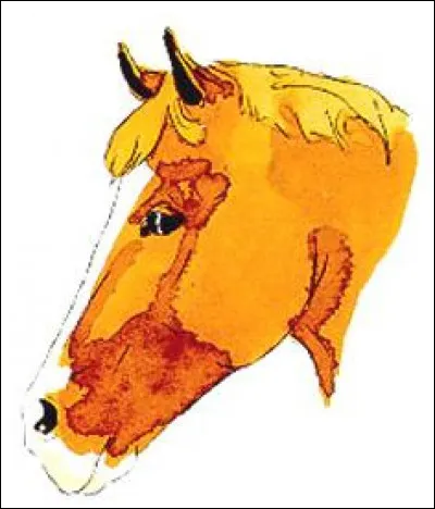 Quelle est la marque de tête de ce cheval ?