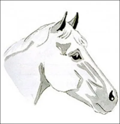 Quelle est la marque de tête de ce cheval ?