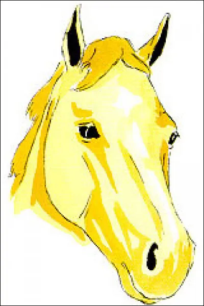 Quelle est la marque de tête de ce cheval ?