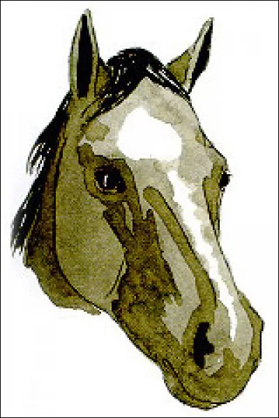 Quelle est la marque de tête de ce cheval ?
