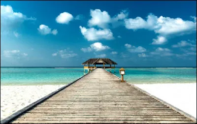 Qui est l'interprète de la chanson ''Voyage, Voyage'' ?