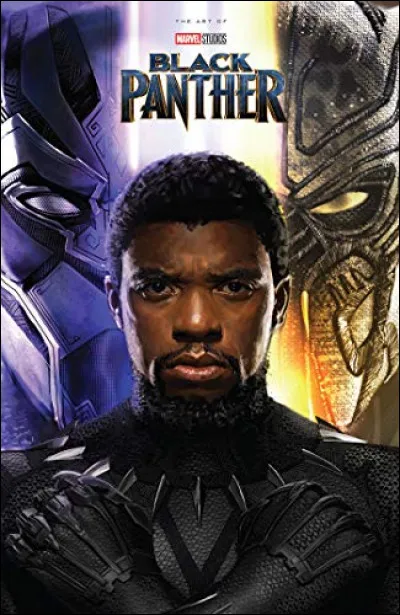 Comment s'appelle le personnage qui balance, par dessus la cascade, T'Challa (Black Panther) pendant le combat ?
