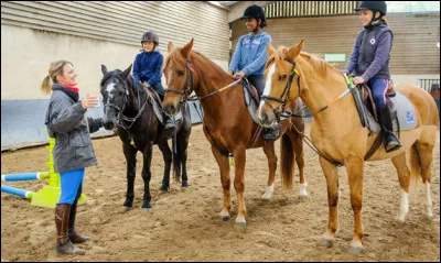 La FFE participe à l'élaboration des formations et des diplômes de moniteur d'équitation.