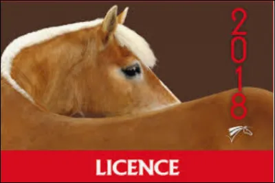 Qui délivre les licences de cavalier ?