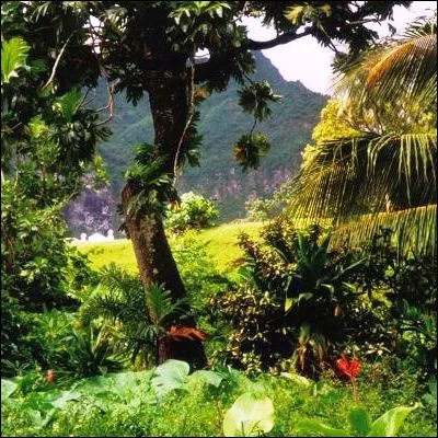 Quel peintre français, chef de file de l'Ecole de Pont-Aven, est associé aux îles Marquises ?