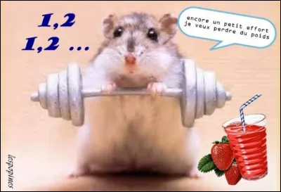 Mon premier termine un cours, mon second survole, mon tout prend l'air !