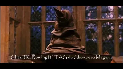 Enfin arrivés ! La répartition va commencer. Dans quelle maison espères-tu aller ?