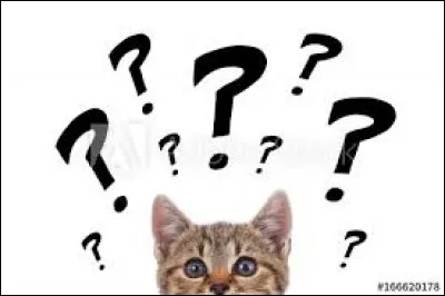 Trouvez Jennifer Lopez !