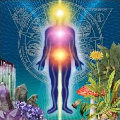 Quels sont les héros dont le S.S permet d'augmenter la force ?