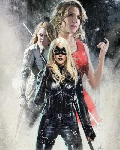 Qui est la sur de Black Canary ?