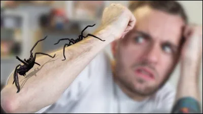 De quoi a-t-il peur ?