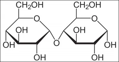 Le maltose est :